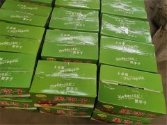 8月10日，利菲爾特開(kāi)展高溫送清涼活動(dòng)